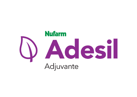 Adesil Adjuvante